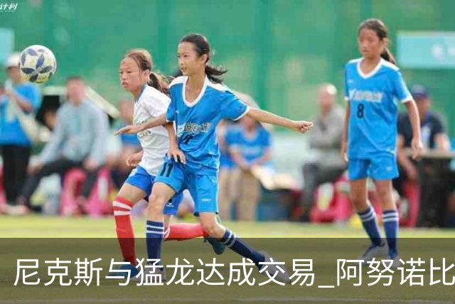 尼克斯与猛龙达成交易 阿努诺比与巴雷特互换