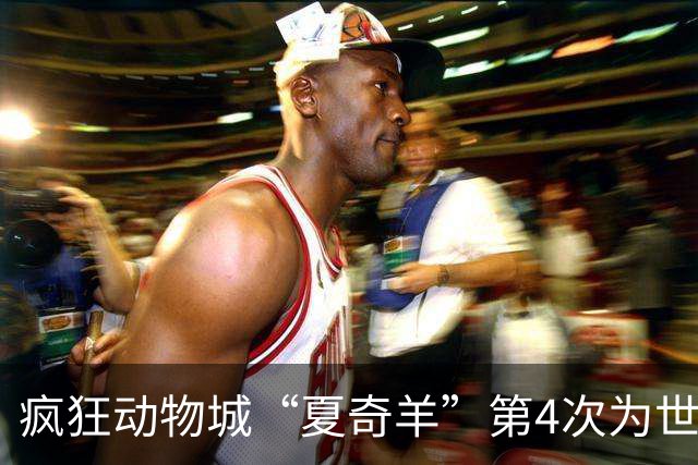 疯狂动物城“夏奇羊”第4次为世界杯开嗓，版税将全捐用于贫困儿童教育